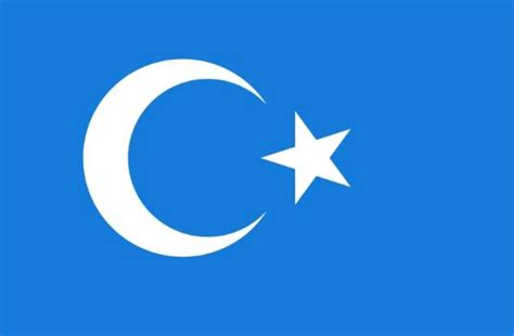 mavi türk bayrağı nedir